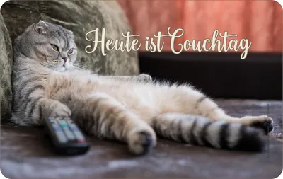 Produktbild von Katze - Frühstücksbrettchen - Couchtag