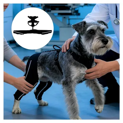 Produktbild von Hunde-Stützgeschirr für die Hinterbeine | Verstellbare rutschfeste Hebehilfe für alte und behinderte Hunde mit Gelenkproblemen