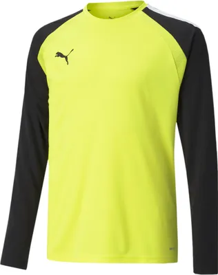 Obrázek produktu pro Mikiny Puma Teampacer Gk B23743
