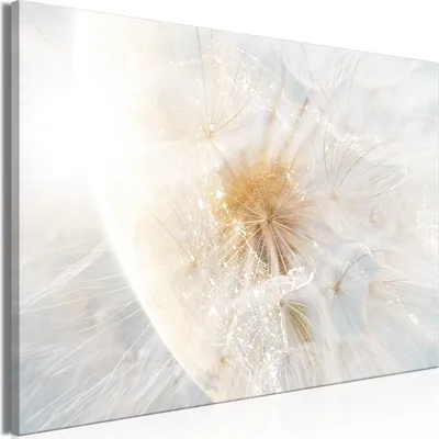 Produktbild von Italienischer Leinwand Leinwandbild - Dandelion in the Sun (1 Part) Wide 120x80 cm Blätter b-C-10077-b-a