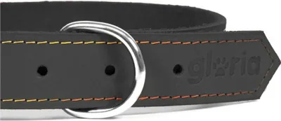 Produktbild von Hundehalsband Gloria Oasis Schwarz (1,5 x 40 cm)