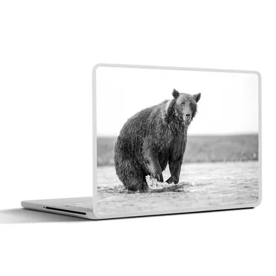 Produktbild von MuchoWow® Laptop Aufkleber Sticker Cover Bär - Fisch - Wasser 31x22.5 cm - Laptop-Deko