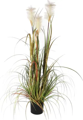 Produktbild von Mica Decorations Federgras Foxtail Kunstpflanze - H120 x Ø45 cm