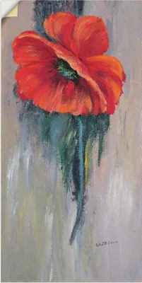 Produktbild von ARTland Wandbild, selbstklebend Roter Mohn III Größe: 30x60 cm