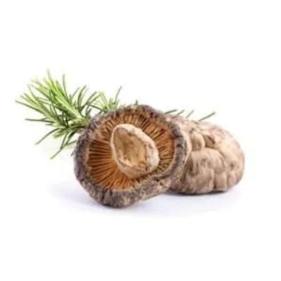 Obrázek produktu pro Shiitake sušená 100 g MYCOMEDICA