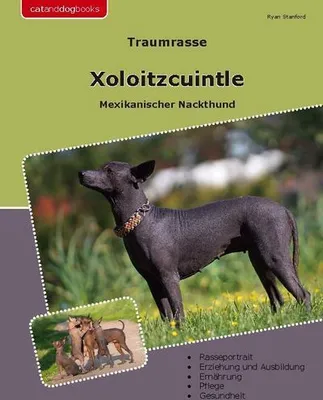 Produktbild von Traumrasse Xoloitzcuintle