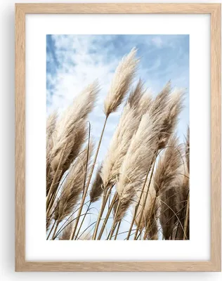 Produktbild von Gerahmtes Poster - Rahmen in heller Eiche - Stock Himmel Boho - 30x40 cm - Wand Bild - Wanddeko - Wandbilder - Kunstposter - Wandposter - Bilderrahmen - Bilder - Kunstdruck - P2NPA30x40-4426