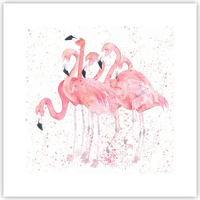 Produktbild von Poster - Poster ohne Rahmen - Flamingo Vogel Wasser - 30x30 cm - Wand Bild - Wanddeko - Wandbilder - Kunstposter - Wandposter - Bilder - Kunstdruck - Wanddekoration - Wandbild - P2XAC30x30-3899