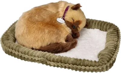 Obrázok produktu pre Perfect Petzzz 92578 Siamské mačiatko