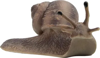 Produktbild von Bullyland 64375 - Spielfigur Weinbergschnecke, ca. 8,5 cm große Tierfigur, detailgetreu, PVC-frei, ideal als kleines Geschenk für Kinder ab 3 Jahren