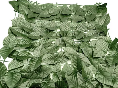 Obrázek produktu pro Krycí síť břečťan 100 x 300 cm