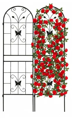 Image de Elzusha - Lot de 2 supports de treillis métalliques pour plantes, 180 x 50 cm, noir