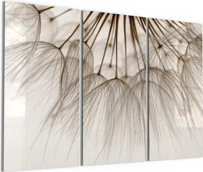 Produktbild von DEQORI Glasbild Echtglas 3x50x100 cm 'Pusteblumenpoesie' Wandbilder XXL groß