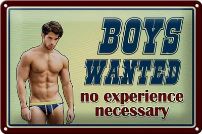 Produktbild von Blechschild Pinup 30x20cm Boys wanted no experience