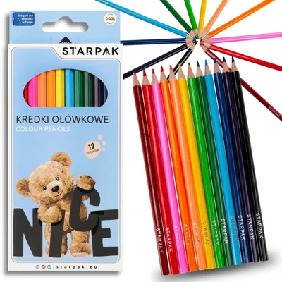 Produktbild von Bär-Buntstifte für Kinder, Holzstifte für die Schule, 12er-Set