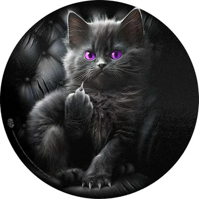 Produktbild von Spiral Schneidebrett Unisex Cattitude multicolor Gothic, Horror Glas Standard