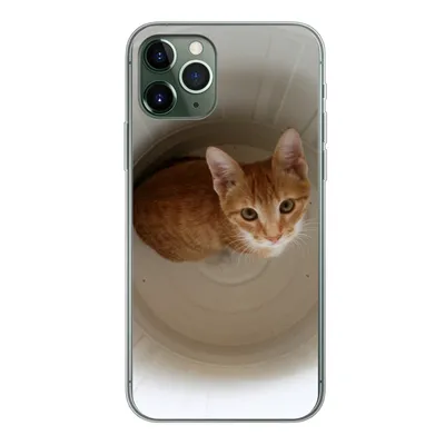 Produktbild von MuchoWow® Handyhülle Schutzhülle Hülle für iPhone 11 Pro Katze - Mülleimer - Weiß Silikon Softcase Handy Hülle - Handy