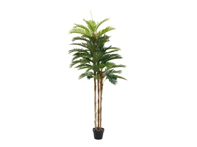 Zdjęcie produktu dla EUROPALMS Palma Kentia, sztuczna roślina, 180 cm