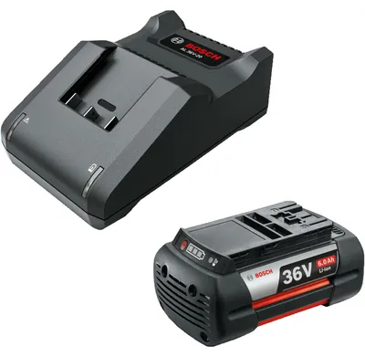 Image de Kit de démarrage 36V (GBA 36V 6.0Ah + AL 36V-20)