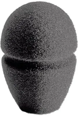 Immagine prodotto di Akg W90