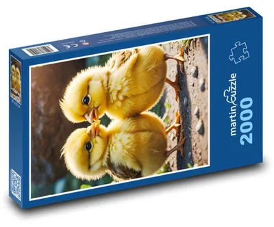 Obrázok produktu pre martinpuzzle - Puzzle 2000 - Žlté kuriatka