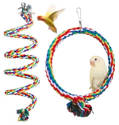 Image de 2 cordes d'escalade pour oiseaux, 150 cm, corde en coton spiralée avec anneau, balançoire de 18 cm de diamètre