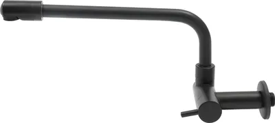 A black wall-mounted kitchen faucet is shown against a white background.