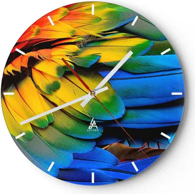 Produktbild von Wanduhr - Rund - Glasuhr - Feder Papagei Vogel - 40x40cm - Schleichendes Uhrwerk - Lautlos - zum Aufhängen bereit - Dekoration Modern - Wanddekoration aus Glas - C3AR40x40-3428