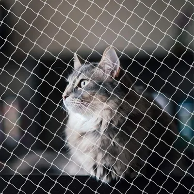 Immagine prodotto di Rete per balconi per gatti, dimensioni 3 x 10 metri, protezione contro gli uccelli