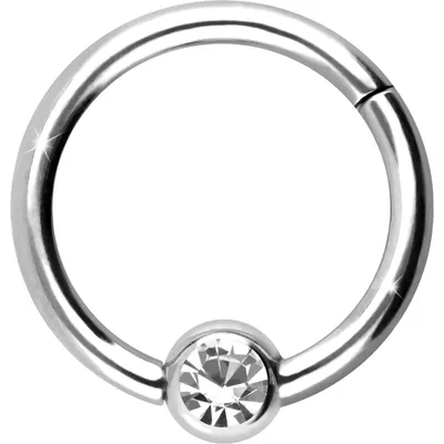 Produktbild von Ohrpiercing, Nasenpiercing, Septum Piercing Titan Segmentring Clicker KRISTALL  WeißGold Innendurchmesser: 10mm + Stabstärke: 1,6mm
