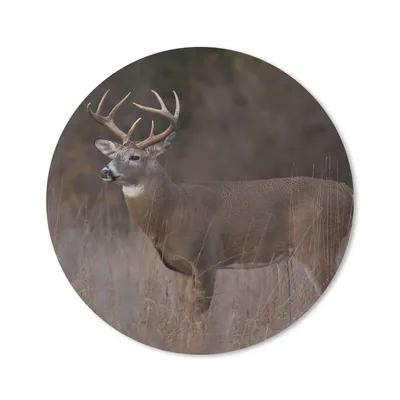 Produktbild von MuchoWow® Mauspad Mousepad Herbst - Hirsche - Gras - Natur - Tiere 50x50 cm - Mousepads - Maus Mat - Pad - Mausunterlage - Vinyl