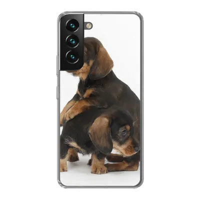 Produktbild von MuchoWow® Handyhülle Schutzhülle Hülle für Samsung Galaxy S22 Studiofoto von zwei süßen Dackeln Silikon Softcase Handy Hülle - Mobiltelefonhülle