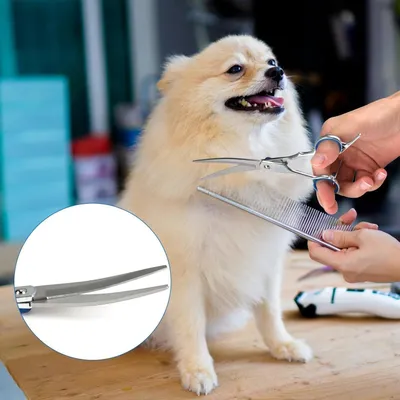 Produktbild von Professionelle Pflegescheere für Hunde und Katzen - gebogen - lange Haare - rostfreies Stahl - Tierpflege - Schneidewerkzeug