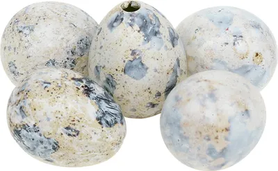 Produktbild von Wachteleier Weiß Marmoriert 3,5-4cm 50St - Deko Oster-Dekoration Tischdeko, 50 Stück