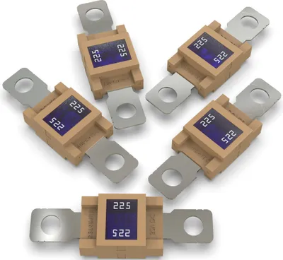 Produktbild von 5x AUPROTEC Mega Hochstromsicherung 225A Schraubsicherung braun