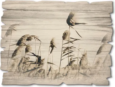 Produktbild von ARTland Holzbild Vintage Gräser Größe: 40x30 cm