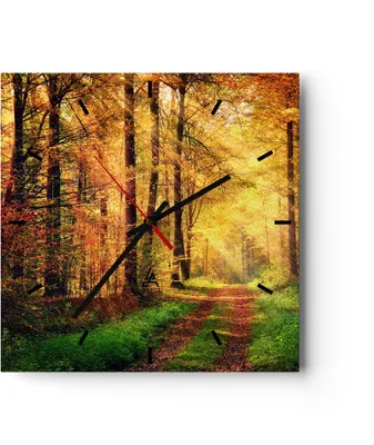 Produktbild von Wanduhr - Quadrat - Glasuhr - Wald Baum Natur - 30x30cm - Schleichendes Uhrwerk - Lautlos - zum Aufhängen bereit - Dekoration Modern - Wanddekoration aus Glas - C3AC30x30-3718