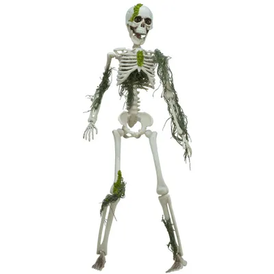 Immagine prodotto di Scheletro di Halloween con muschio, 40 cm