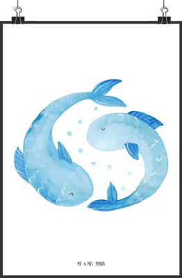 Produktbild von Mr. & Mrs. Panda Bild Sternzeichen Fische DIN A2 - Weiß - Geschenk, Geburtstag März, Februar, kunstdruck poster, Sternbild, Fisch, drucke, Wandbild, wanddeko