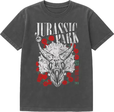 Produktbild von Jurassic Park - "Isla Nublar" T-Shirt für Herren/Damen Uni, Vintage-Waschung TV26479 (L) (Schwarz)
