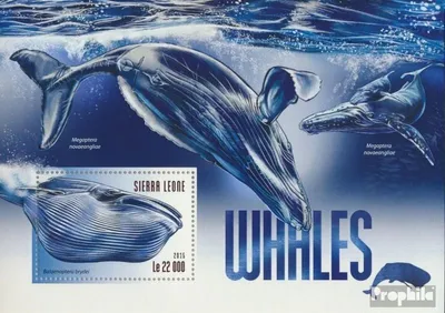 Produktbild von Briefmarken Sierra Leone 2015 Mi Block 812 (kompl. Ausg.) postfrisch Wale