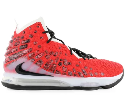 Obrázek produktu pro Nike Boty Lebron Xvii, BQ3177601