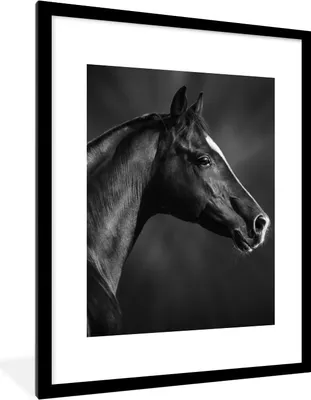 Produktbild von MuchoWow® Gerahmtes Poster Pferd - Tiere - Schwarz - Weiß - Porträt 60x80 cm - Poster mit Schwarzem Bilderrahmen Wandposter Rahmen Foto Bilder - Wohnzimmer - Dekorationen - Prämie