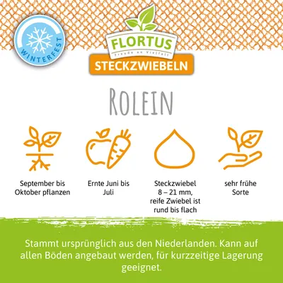 Produktbild von Wintersteckzwiebel Rolein | Steckzwiebeln von FLORTUS, Menge:250 g