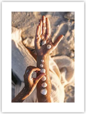 Produktbild von Poster - Poster ohne Rahmen - Muschel Hand Strand - 30x40 cm - Wand Bild - Wanddeko - Wandbilder - Kunstposter - Wandposter - Bilder - Kunstdruck - Wanddekoration - Wandbild - P2XPA30x40-5102