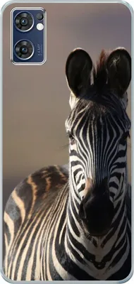 Produktbild von König Design Hülle kompatibel mit Oppo Find X5 Lite Kunststoff Soft Handyhülle - Handy Case Zebra