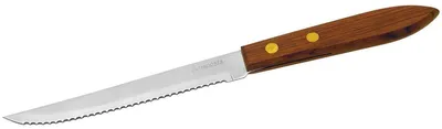 Image de Petit couteau de cuisine avec manche en bois 21 cm Nirosta