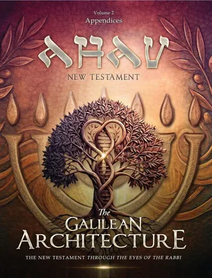 Produktbild von AHAV, Neues Testament, Band 2