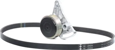 Produktbild von INA 529 0099 10 Keilrippenriemensatz für VW PASSAT Variant (3B6)