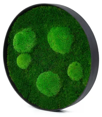 Produktbild von Rundes Moosbild Forest Design (⌀40 cm, schwarz)